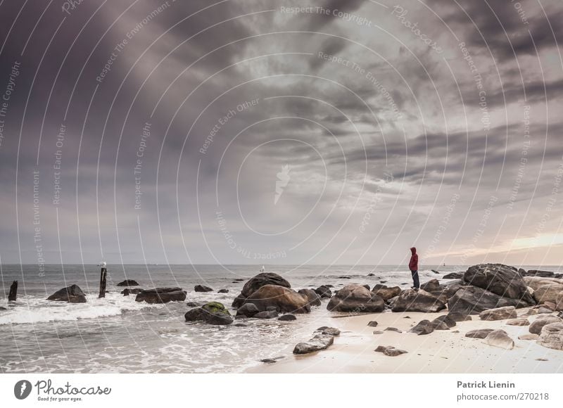 Face to Face Mensch maskulin Mann Erwachsene Körper 1 Umwelt Natur Landschaft Urelemente Wasser Himmel Wolken Wetter Schönes Wetter Strand Meer Beginn