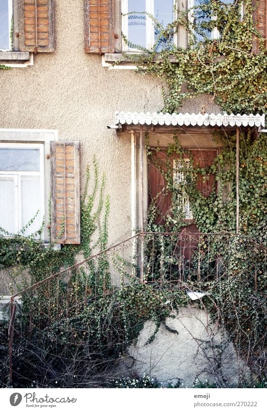 hinein gehen Haus Mauer Wand Treppe Fassade Fenster Tür alt Efeu Farbfoto mehrfarbig Außenaufnahme Menschenleer Tag