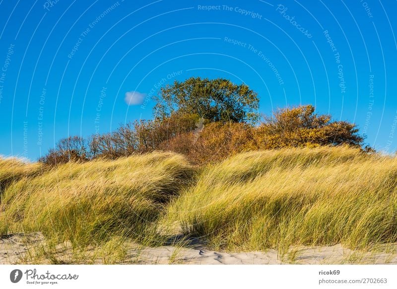 Ostseeküste bei Klintholm Havn in Dänemark Ferien & Urlaub & Reisen Tourismus Strand Meer Natur Landschaft Wolken Herbst Gras Küste blau grün Idylle Umwelt Moen