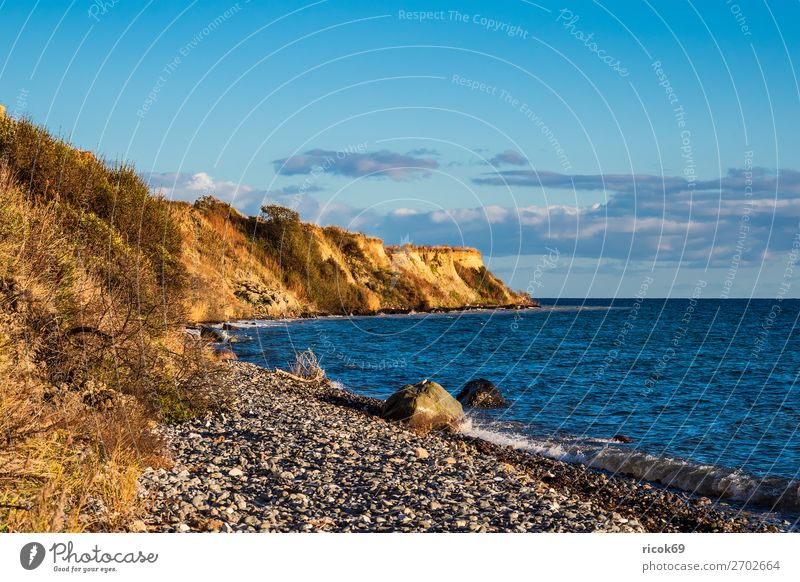 Ostseeküste bei Klintholm Havn in Dänemark Erholung Ferien & Urlaub & Reisen Tourismus Strand Meer Wellen Natur Landschaft Wasser Wolken Herbst Baum Küste Stein