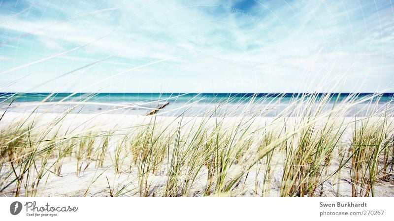 ein Tag am Meer Umwelt Natur Landschaft Pflanze Urelemente Sand Luft Wasser Himmel Wolken Horizont Frühling Sommer Klima Klimawandel Wetter Schönes Wetter Wind