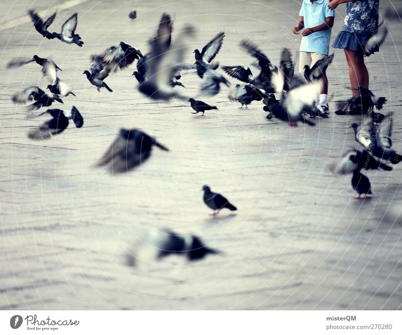 Venetian Kids. Kunst ästhetisch Venedig Veneto Italien Italienisch Taube Markusplatz Luftverkehr Schwarm fliegen Fernweh Idylle friedlich Farbfoto