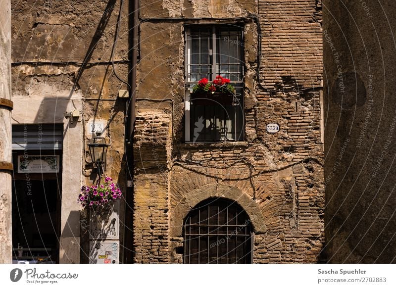 Haus 3339 Rom Italien Europa Altstadt Architektur Mauer Wand Fassade Balkon Fenster Tür Stadt Ferien & Urlaub & Reisen Farbfoto Gedeckte Farben Außenaufnahme