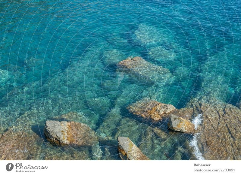 Ligurische Schönheit Umwelt Natur Wasser Sommer Wellen Küste Seeufer Bucht Meer Flüssigkeit frisch Sauberkeit blau Italien Ligurien Stein türkis weiß