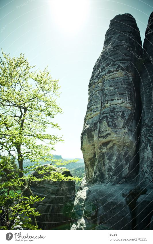 Hochachtungsvoll Freiheit Berge u. Gebirge Umwelt Natur Landschaft Pflanze Himmel Wolkenloser Himmel Frühling Klima Schönes Wetter Baum Felsen authentisch groß