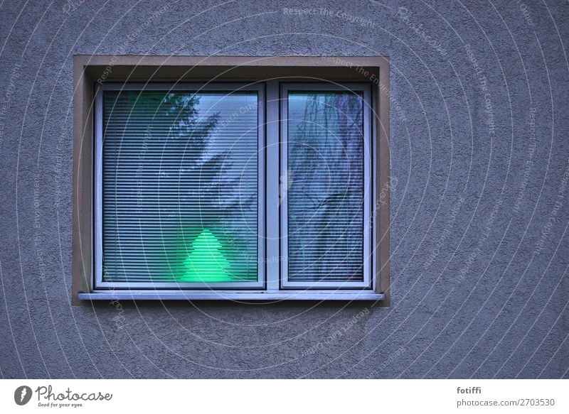 minimalistische Weihnachten Mauer Wand Fassade Fenster hell Tanne Lampe Reflexion & Spiegelung leuchten Weihnachten & Advent grün Rollo Gedeckte Farben