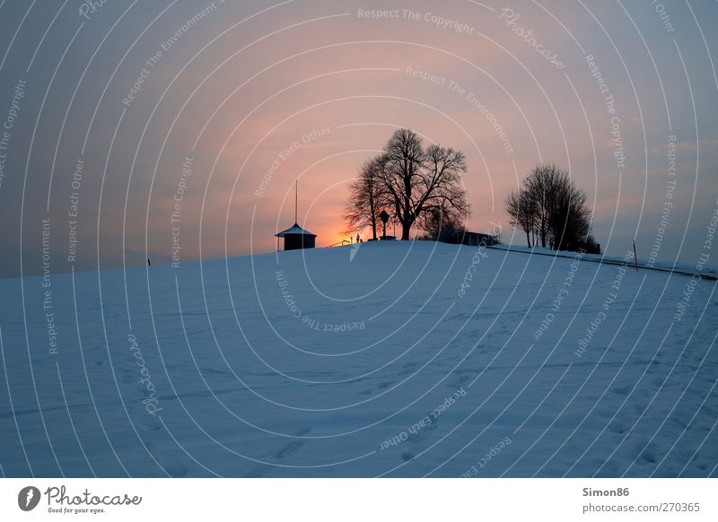 Sonnenuntergang Umwelt Natur Landschaft Himmel Nachthimmel Sonnenaufgang Winter Wetter Wind Baum Wiese Hütte Wege & Pfade dunkel Unendlichkeit Stimmung ruhig