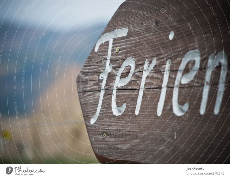 Richtung Ferien Ferien & Urlaub & Reisen Ausflug Holz Schilder & Markierungen Hinweisschild Warnschild Pfeil fest nah braun Vorfreude Erwartung Freizeit & Hobby