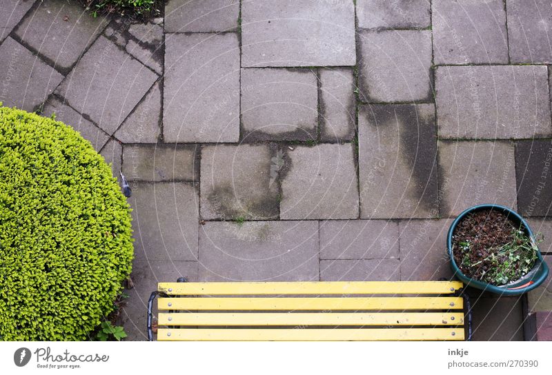 das Fenster zum Hof Häusliches Leben Gartenarbeit Sträucher Unkraut Menschenleer Terrasse Bodenplatten Bank Gartenbank Gartengeräte Beton Rechteck Quadrat