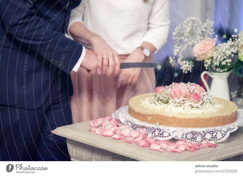 Hochzeitstorte Paar Zusammensein Liebe Kuchen Hochzeitspaar Hochzeitstag (Jahrestag) Hochzeitszeremonie anschneiden Ehe Hochzeitsfeier Hochzeitskuchen Farbfoto