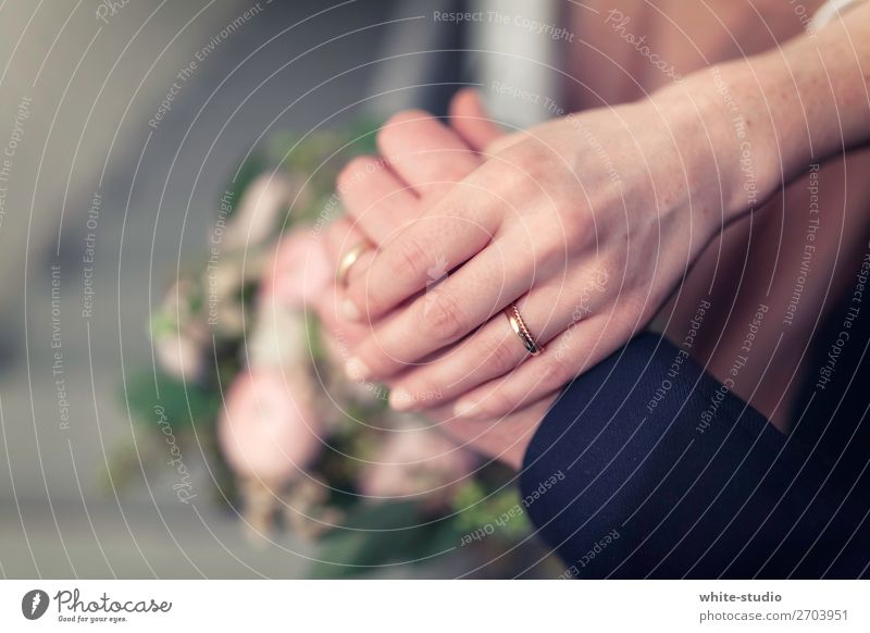 Hochzeitszeit Paar Partner Zusammensein Liebe Hochzeitspaar Braut Ehemann Bräutigam Eheversprechen Gelübde Ring Ehering Liebespaar Hand Handhaltung