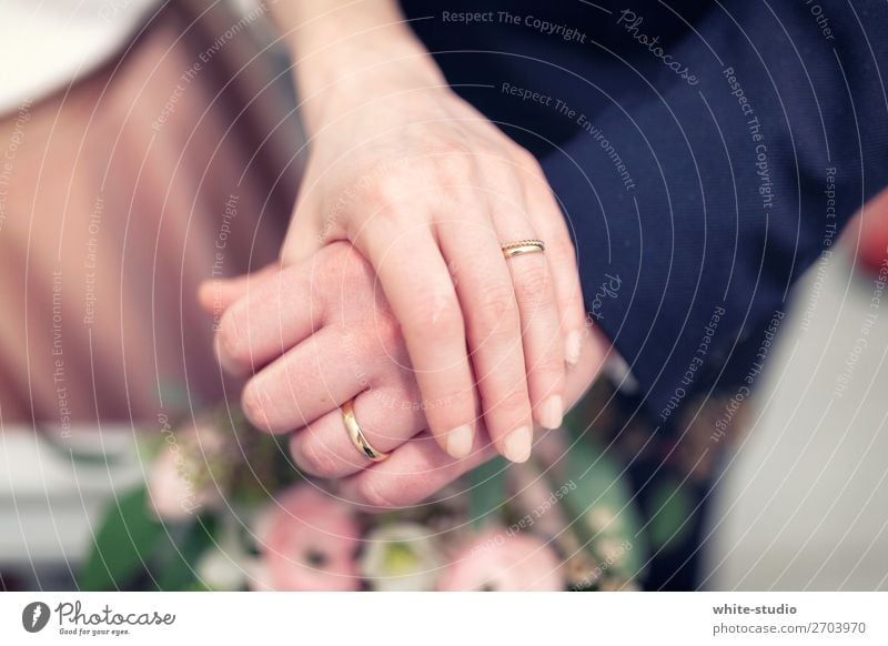 Zeit für Hochzeit Paar Partner Liebe Liebespaar Ehering Ring Kreis Hand Ehepaar Ehefrau Ehemann Tiefenschärfe Hochzeitspaar Hochzeitszeremonie Handhaltung