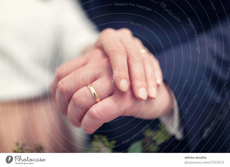 Zeit für Hochzeit Paar Partner Liebe Ehering Ring Kreis Hand Ehepaar Ehefrau Ehemann Tiefenschärfe Hochzeitspaar Handhaltung Zusammensein Partnerschaft