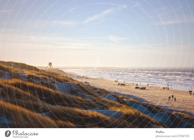 Autostrand bei Blokhus Ferien & Urlaub & Reisen Tourismus Ausflug Abenteuer Freiheit Umwelt Natur Landschaft Sand Wasser Himmel Sonne Sonnenlicht Küste Strand