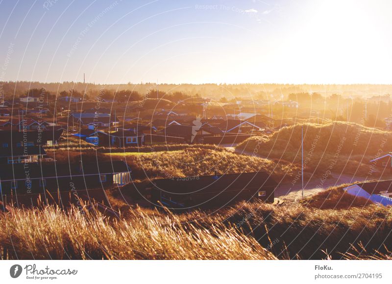 Urlaubsstimmung Ferien & Urlaub & Reisen Tourismus Sommerurlaub Umwelt Natur Küste Nordsee Blokhus Dänemark Europa Dorf Haus gold Stimmung Ferienhaus Düne