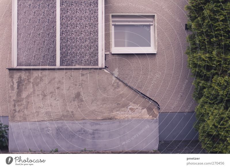 Nachbarschaft I Pflanze Baum Sträucher Dorf Kleinstadt Stadt Stadtrand Haus Einfamilienhaus Gebäude Architektur Mauer Wand Treppe Tür Straße alt Armut kalt