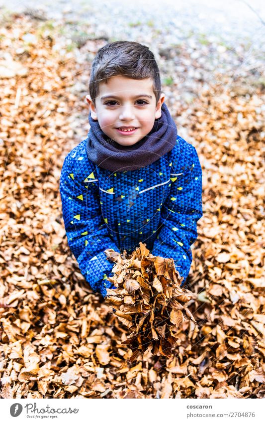 Junge mit einem Haufen Blätter in den Händen. Lifestyle Freude Glück schön Freizeit & Hobby Spielen Ferien & Urlaub & Reisen Expedition Winter Berge u. Gebirge