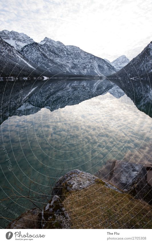 Winterlicher Plansee in Tirol Schnee Winterurlaub Berge u. Gebirge wandern Natur Landschaft Wasser Himmel Wolken Schönes Wetter Felsen Alpen Gipfel