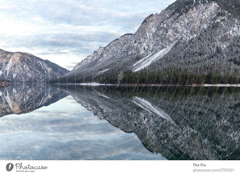 Vice versa Natur Landschaft Pflanze Wasser Himmel Wolken Winter Schönes Wetter Schnee Alpen Berge u. Gebirge Gipfel Schneebedeckte Gipfel Seeufer Plansee