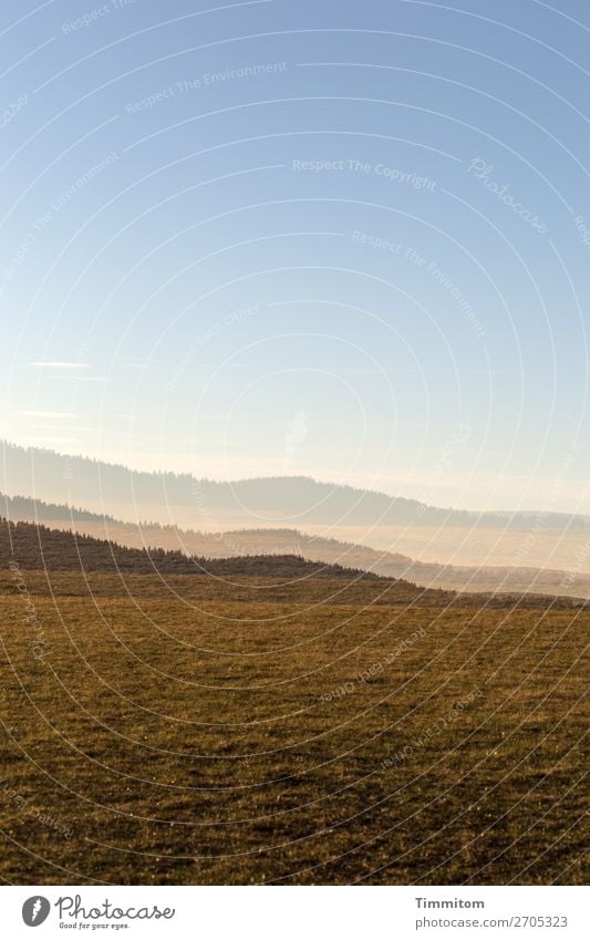 Schichtung der Natur Mehrfachbelichtung Wiese Hügel Wald Schwarzwald Himmel blau schönes Wetter Urlaubsstimmung Schönes Wetter Landschaft Menschenleer zart