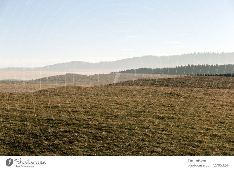 Drei Wiesen vor drei Schwarzwaldhügeln Hügel Wald Fichten Himmel blau schönes Wetter Natur Landschaft Menschenleer Urlaubsstimmung zart Mehrfachbelichtung