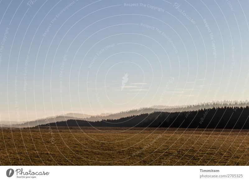 Sanfte Hügel Ferien & Urlaub & Reisen Umwelt Natur Landschaft Pflanze Erde Himmel Schönes Wetter Baum Gras Wiese Wald Schwarzwald Freundlichkeit natürlich blau