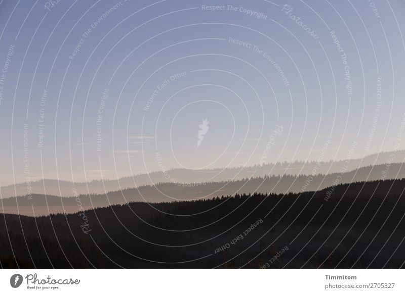 Der Abend kommt Umwelt Natur Landschaft Pflanze Himmel Wolkenloser Himmel Herbst Schönes Wetter Wald Schwarzwald beobachten ästhetisch natürlich blau rosa