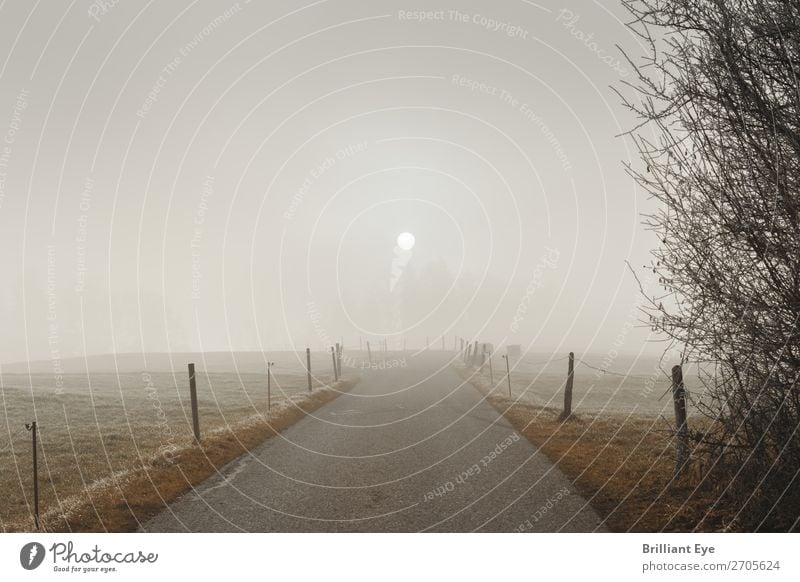 Vernebelte Sonne Ausflug Winter Natur Landschaft Sonnenlicht Nebel Feld Menschenleer bedrohlich kalt natürlich weich grau Beginn Perspektive Frost Wege & Pfade