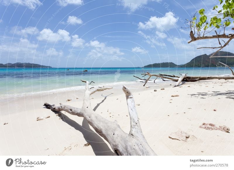 PRASLIN - SEYCHELLES Praslin Seychellen Ferien & Urlaub & Reisen Reisefotografie Strand Küste Sand Meer Insel Natur Landschaft Afrika Tourismus unberührt