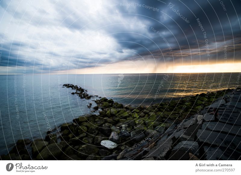 Hiddensee l escapism Umwelt Natur Landschaft Urelemente Wasser Wolken Gewitterwolken Horizont Frühling Klima Klimawandel Wetter Schönes Wetter schlechtes Wetter