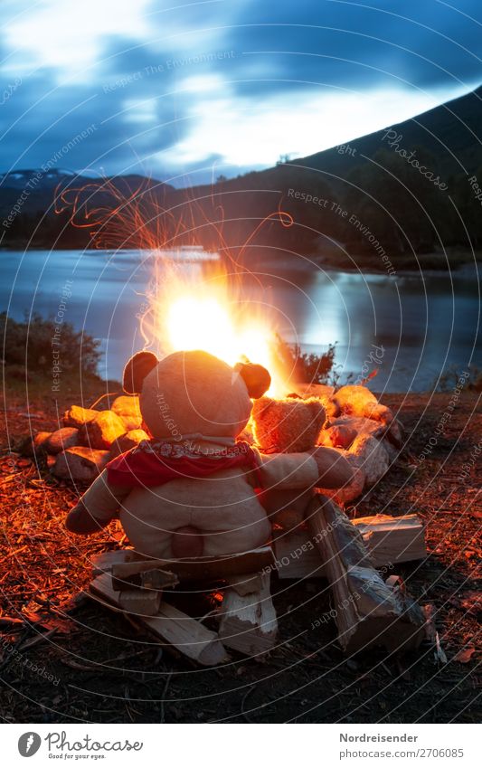 Zwei Teddybären am Lagerfeuer / Symbolik Freundschaft Ferien & Urlaub & Reisen Abenteuer Freiheit Camping Sommer Team Natur Landschaft Urelemente Schönes Wetter