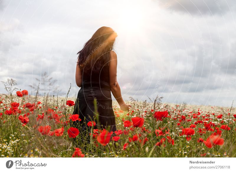 Irgendwann im Sommer harmonisch Erholung Ausflug Mensch feminin Frau Erwachsene Natur Landschaft Himmel Wolken Schönes Wetter Blume Feld Kleid schwarzhaarig