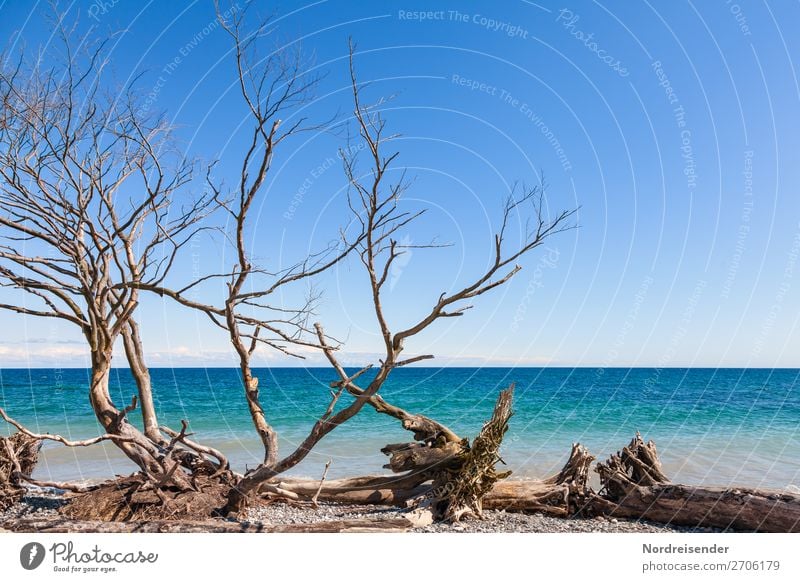 Ostsee in Dänemark Ferien & Urlaub & Reisen Ausflug Sommer Sommerurlaub Strand Meer Wellen Natur Landschaft Urelemente Wasser Wolkenloser Himmel Frühling Herbst