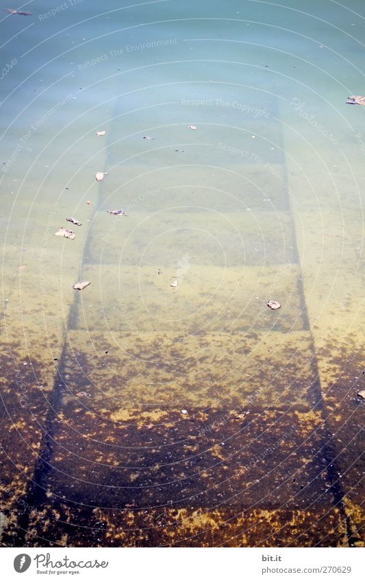 ab zum Wasserschloss Umwelt Natur See Fluss außergewöhnlich kalt nass blau braun Beginn Einsamkeit entdecken Freiheit geheimnisvoll Ferne skurril Stimmung