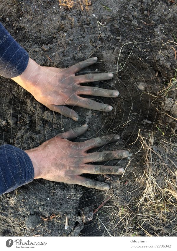 Gartenarbeit Hand Finger 1 Mensch Erde Feld Fingernagel dreckig Sand Arbeit & Erwerbstätigkeit frei Tatkraft Leidenschaft Farbfoto Gedeckte Farben Außenaufnahme