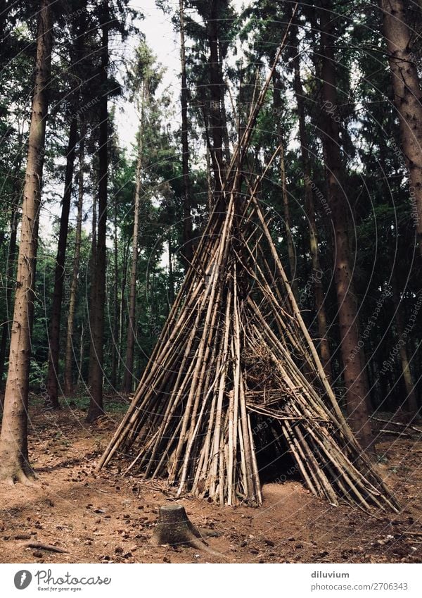 eigenheim Freude Ausflug Abenteuer Wald Waldboden Ast Baumhaus Tipi Holz bauen Häusliches Leben braun Schutz Farbfoto Gedeckte Farben Außenaufnahme Menschenleer