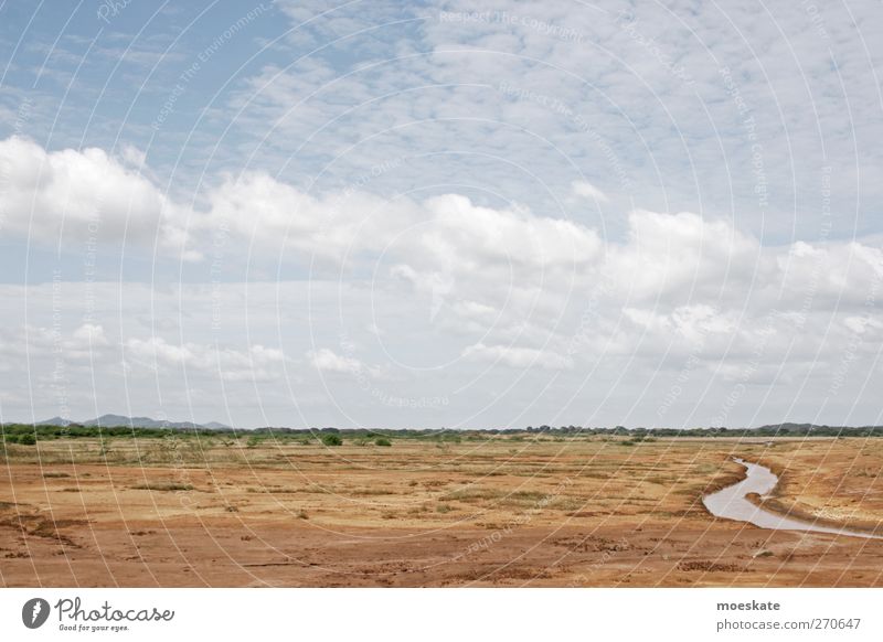 Wüste Ferien & Urlaub & Reisen Ausflug Abenteuer Expedition Landschaft Sand Himmel Sommer Klimawandel Wärme Dürre Wasser wandern Unendlichkeit trist trocken