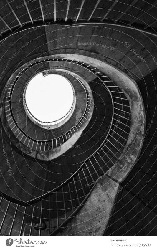 Wendeltreppe Bauwerk Gebäude Architektur Treppe drehen Schwarzweißfoto Außenaufnahme Strukturen & Formen Menschenleer