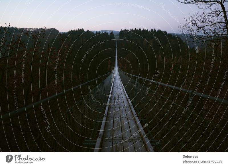 Mutprobe Hängebrücke Brücke Natur Wald Sehenswürdigkeit Außenaufnahme Farbfoto Menschenleer Dämmerung Tag Bauwerk Tourismus Ferien & Urlaub & Reisen Landschaft