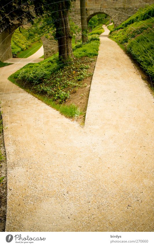 Scheideweg, ein Weg teilt sich in einem Park Wegkreuzung Wahl Wege & Pfade Teilung Sommer Pflanze Baum neue Wege Lebensweg Brücke authentisch lang Beginn