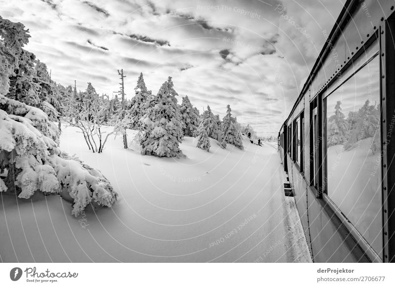 Harzer Schmalspurbahn auf dem Weg zum Brockengipfel Ferien & Urlaub & Reisen Tourismus Ausflug Abenteuer Ferne Freiheit Umwelt Natur Landschaft Pflanze Winter