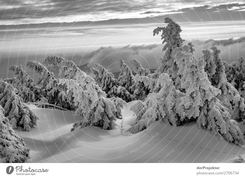 Winterlandschaft auf dem Brocken im Harz Ferien & Urlaub & Reisen Tourismus Ausflug Abenteuer Ferne Freiheit Winterurlaub Berge u. Gebirge wandern Umwelt Natur