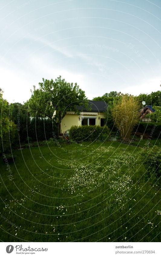 Das Gärtchen Sommer Garten Umwelt Natur Landschaft Himmel Frühling Klima Wetter Unwetter Gewitter Pflanze Baum Grünpflanze gut schön frühlig Schrebergarten