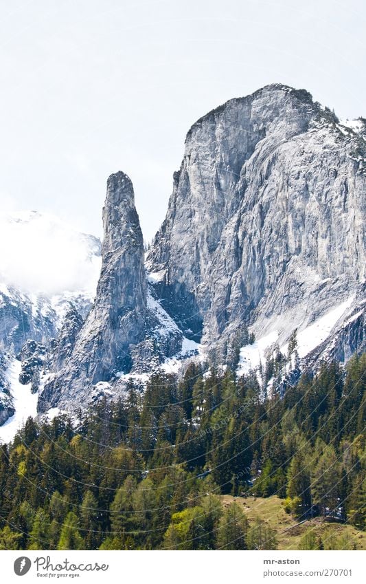 grün-grau Natur Landschaft Pflanze Horizont Frühling Schönes Wetter Schnee Baum Berge u. Gebirge Stein wandern Aggression Ausdauer Abenteuer Farbfoto