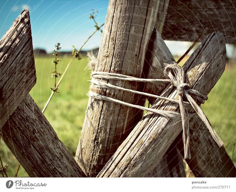 provisorien Wiese Feld Holz Zusammenhalt Zaun Holzpfahl Schnur Allgäu Problemlösung angekettet Farbfoto Außenaufnahme Detailaufnahme Sonnenlicht