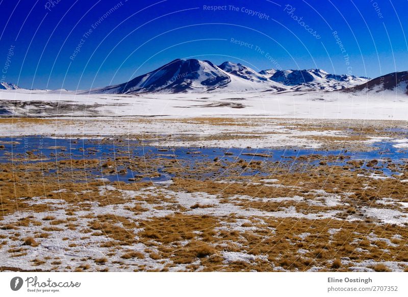 Salzseen und Berge an der Grenze zu Chile und Bolivien Natur Landschaft Berge u. Gebirge Südamerika Abenteuer Farbfoto Außenaufnahme Panorama (Aussicht)