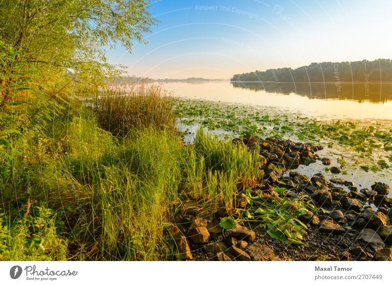 Blick auf den Dniper River am Morgen Ferien & Urlaub & Reisen Sonne Nebel Baum Gras Park Fluss gelb grün Frieden Dnjepr Dnipro Kiew kyiv Ukraine Windstille