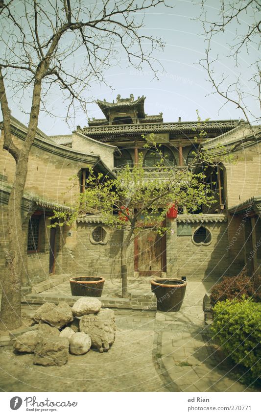 Ein.Familien.Haus II Himmel Wolkenloser Himmel Schönes Wetter Pflanze Baum Sträucher Park Pingyao China Stadt Stadtzentrum Altstadt Skyline Menschenleer