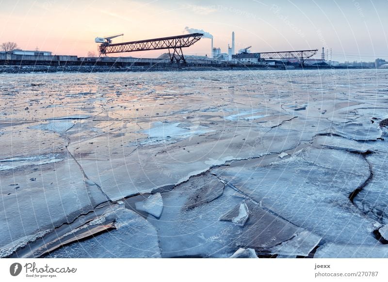 Winterlicher Blick auf Hafenbecken mit geschlossener Eisdecke Himmel Schönes Wetter Frost Fluss kalt blau orange schwarz Rheinhafen Farbfoto Außenaufnahme