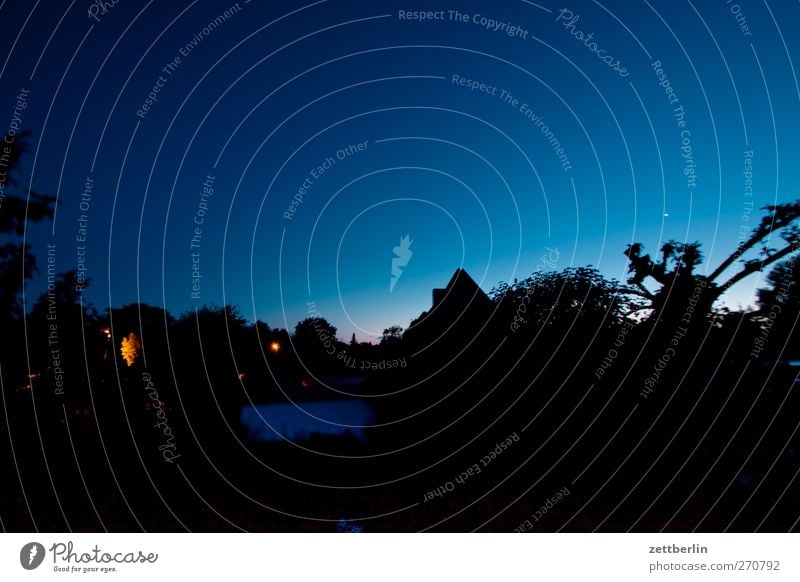 Abends im Gärtchen Erholung Sommer Garten Umwelt Natur Landschaft Himmel Wolkenloser Himmel Klima Klimawandel Wetter Schönes Wetter Baum Blatt Park gut